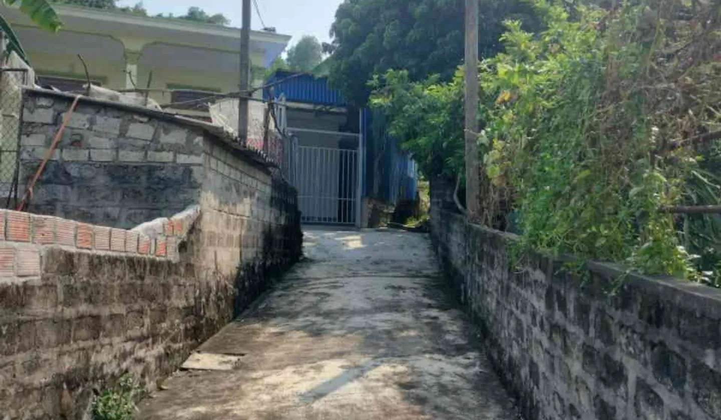 Đất xây biệt thự vườn tại Thủy Nguyên, diện tích 500m2, vị trí thuận tiện... Bán đất tại Hòa Bình, Hải Phòng 01