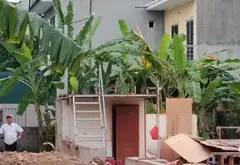 Bắc Giã Phù Lỗ - Đất Hiếm Ô Tô Tải Đỗ Cửa... Bán đất tại Sóc Sơn, Hà Nội 01