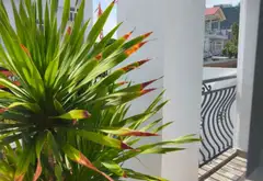 Nhà mặt tiền rộng, vị trí vàng ở Dĩ An, giảm giá sốc... Bán nhà mặt phố tại Dĩ An, Hồ Chí Minh 12
