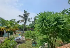 Bán đất 808m2 mặt tiền đường lớn, view sông tại Bình Mỹ, gần Quận 12- Giá 11 tỷ... Bán owner_side tại Bình Mỹ, Hồ Chí Minh 09