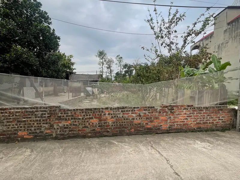 Đất nền đẹp tại Quang Tiến - Cơ hội vàng cho đầu tư!... Bán đất tại Nội Bài, Hà Nội 01