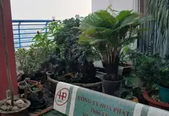 🔥 HIẾM – PENTHOUSE THÁI AN 2 – TẦNG 15 – VIEW TOÀN THÀNH PHỐ 🔥... Bán căn hộ chung cư tại Đông Hưng Thuận, Hồ Chí Minh 04