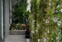 ÔNG ÍCH KHIÊM NGAY VÒNG XOAY LÊ ĐẠI HÀNH - GIÁP QUẬN 10 - NHÀ 4 TẦNG SÂN VƯỜN CỰC ĐẸP... Bán nhà riêng tại Hòa Bình, Hồ Chí Minh 08