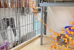 Nhà 4 tầng diện tích 27m2 tại Khương Trung giá 6.8 tỷ, phù hợp gia đình trẻ.... Bán nhà riêng tại Thanh Xuân, Hà Nội 07