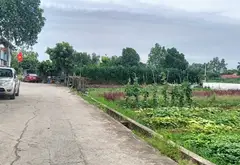 DT 47m2,MT 4m.. cách 1 nhà ra bìa làng viu trường dạy nghề và trường cấp 1 và 2.tại mạch lũng... Bán đất tại Thiên Lộc, Hà Nội 04