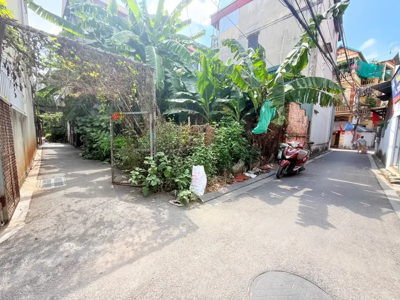 Bán đất lô góc thông ô tô 60,5m² tại Lễ Pháp - Đông Anh, vị trí đẹp, tiện lợi di chuyển.... Bán đất tại Phúc Thịnh, Hà Nội 01