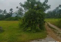 Bán đất 883m² xã Trần Phú, Hà Nội phù hợp phân lô tách bán... Bán đất tại Trần Phú, Hà Nội 07