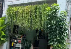 Nhà mặt tiền kinh doanh Tân Phú giá sốc chỉ dưới 8 tỷ... Bán nhà mặt phố tại Tân Sơn, Hồ Chí Minh 06