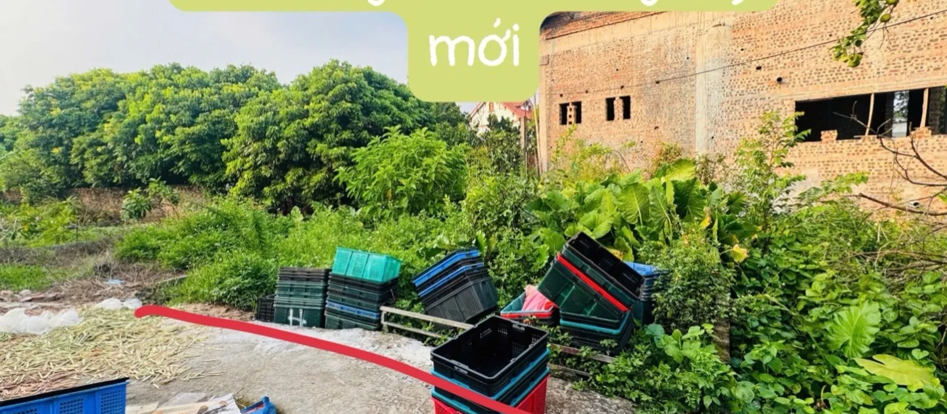 Đất đẹp ngõ rộng, ô tô vào tận nhà, sổ vuông vắn thôn quán trạch cd... Bán đất tại Văn Giang, Hưng Yên 01