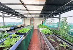 Khám phá biệt thự 2 mặt tiền Nguyễn Tri Phương - Dĩ An... Bán nhà mặt phố tại Dĩ An, Hồ Chí Minh 13