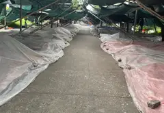Bán đất 80m² tại khu đô thị Đại An - Phù Khê, Từ Sơn với đường rộng 7m tiện ích đầy đủ... Bán đất tại Phù Khê, Bắc Ninh 05