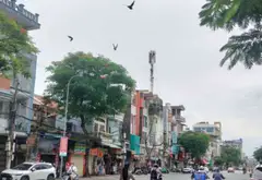 Nhà phố 3 tầng hướng Đông Bắc tại Đà Nẵng, ngõ rộng, tiềm năng gia tăng giá trị... Bán nhà riêng tại Ngô Quyền, Hải Phòng 01