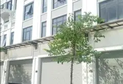 Shop Hour Hà Tu - Hạ Long mặt tiền 6m... Bán biệt thự, liền kề tại Hà Tu, Quảng Ninh 02