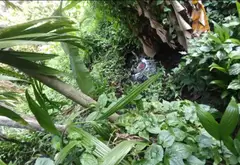 Đất rộng đẹp ngay khu dân cư phát triển... Bán đất tại Tam Bình, Hồ Chí Minh 11