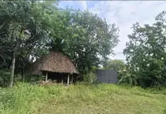 Đất Vườn Lớn Gần Bệnh Viện Nhi Đồng 3 - Cơ Hội Vàng Đầu Tư... Bán đất tại Tân Nhựt, Hồ Chí Minh 16