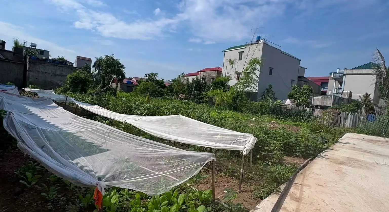 120M² PHÚ LÂM GIÁ KHOẢNG 20 TRIỆU/M² – GẦN KHU VỰC SUN GROUP... Bán đất tại Tiên Du, Bắc Ninh 01