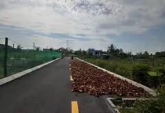 Bán đất lô góc vị trí đắc địa tại xã Đoàn Xá, DT 60.3m2, mặt tiền rộng 4.6m... Bán đất tại Kiến Hải, Hải Phòng 05