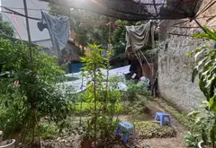 Cơ Hội Vàng Sở Hữu Đất Vị Trí Đẹp Gần Ga Cao Tốc Ngọc Hồi... Bán đất tại Ngọc Hồi, Hà Nội 01