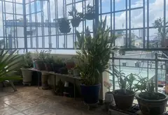 Bán nhà 3 tầng mặt phố Đường Số 5 Linh Xuân, diện tích 52m2... Bán nhà mặt phố tại Linh Xuân, Hồ Chí Minh 10