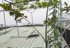Bán nhà mặt phố phường Thạnh Xuân, Quận 12, mặt tiền chợ, kinh doanh ổn định... Bán nhà mặt phố tại Thới An, Hồ Chí Minh 05