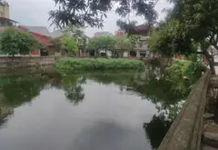 Lô đất 81m² tại khu vực Hương Mạc, Từ Sơn, vị trí đẹp, giá ưu đãi... Bán đất tại Từ Sơn, Bắc Ninh 03