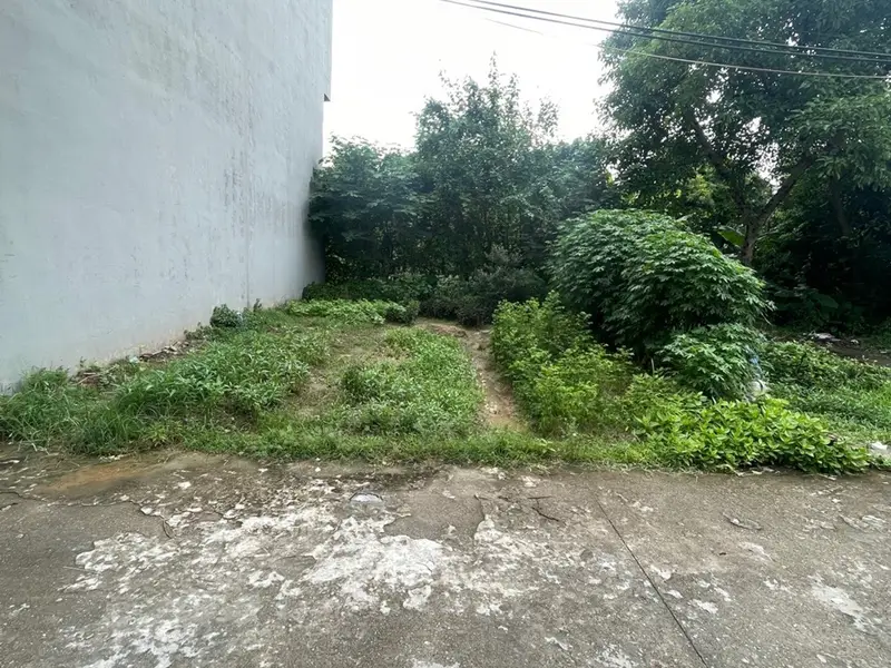 Bán Đất Thôn Trí Chung 66m² - Giá 5 Tỷ - Pháp Lý Cơ Sở, Mặt Tiền 6.6m, Đường 4m... Bán đất tại Như Quỳnh, Hưng Yên 01