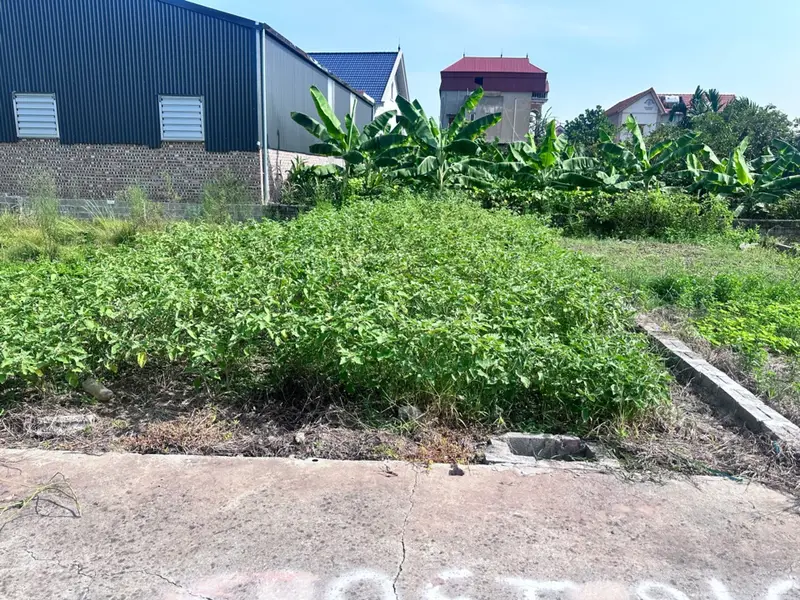 🔥🔥ĐẤT PHÂN LÔ - BÃI SẬY _TRIỆU VIỆT VƯƠNG_ HƯNG YÊN -Ô TÔ ĐỖ CỬA -TÀI CHÍNH CÔNG NHÂN🌹... Bán đất tại Triệu Việt Vương, Hưng Yên 01