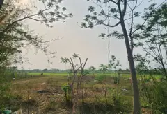 Lô đất vuông vắn view cánh đồng mở rộng tại Sóc Sơn... Bán owner_side tại Sóc Sơn, Hà Nội 03