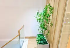MẶT TIỀN DƯƠNG QUẢNG HÀM – KINH DOANH SẦM UẤT 🔥
💥 56M² – NGANG 4M – CÓ HẦM – 1 TRỆT 2 LẦU + SÂN... Bán nhà mặt phố tại An Nhơn, Hồ Chí Minh 06