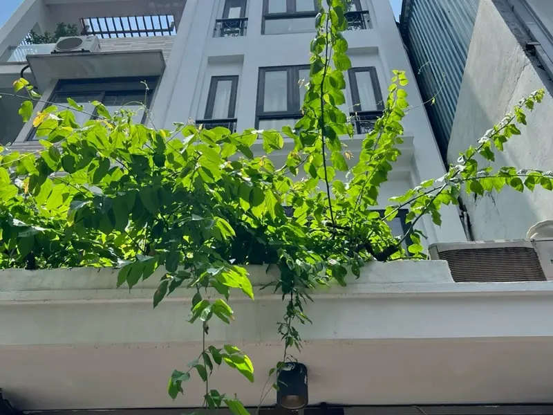Bán nhà riêng 5 tầng, phân lô 50m, ngõ thông phố Trần Khát Chân, giá nhỉnh 15tỷ... Bán nhà riêng tại Hai Bà Trưng, Hà Nội 01