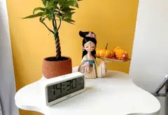 Biệt thự phố trung tâm Quận 3 với thiết kế đẳng cấp và dòng thu nhập ổn định... Bán nhà riêng tại Xuân Hòa, Hồ Chí Minh 05