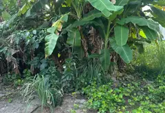 Cơ Hội Vàng Sở Hữu Đất Vị Trí Vàng Phường Hồng An... Bán đất tại Hồng An, Hải Phòng 03