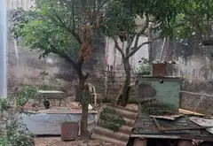 BÁN ĐẤT THANH AM , VỊ TRÍ ĐẸP , DIỆN TÍCH RỘNG OTO VÀO NHÀ . GIÁ 10.8 TỶ CÓ THƯƠNG LƯỢNG... Bán đất tại Việt Hưng, Hà Nội 22