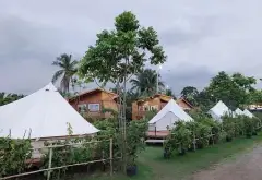 Đất mặt tiền ven sông Long Phước cực hút điểm đầu tư... Bán đất tại Long Phước, Hồ Chí Minh 02