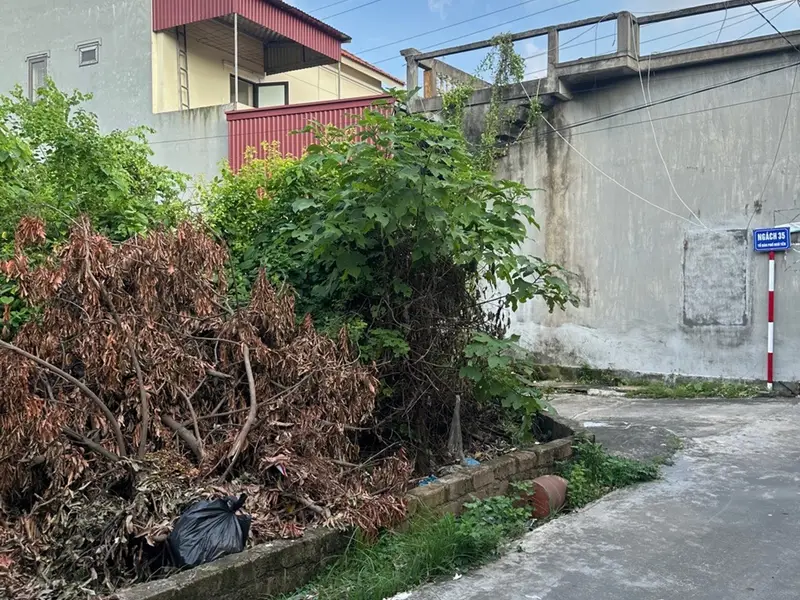 Đất nền hướng Tây Bắc diện tích 85.6m² thuận tiện kinh doanh tại phường Hồng An... Bán đất tại Hồng An, Hải Phòng 01