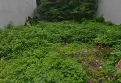 Cơ hội sở hữu lô đất hiếm tại Đằng Lâm, Hải An với vị trí đắc địa... Bán đất tại Hải An, Hải Phòng 01