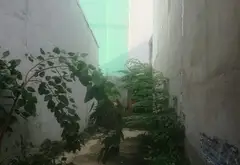 Nhà riêng 1 tầng mặt tiền rộng tại trung tâm quận Tân Bình... Bán nhà riêng tại Tân Hòa, Hồ Chí Minh 02