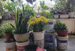 TẬP THỂ MAI DỊCH ĐẸP NHƯ CHUNG CƯ –70m –3 ngủ- FULL NỘI THẤT – OTO ĐỖ CỬA – VIEW THOÁNG, Ful đồ... Bán căn hộ chung cư tại Phú Diễn, Hà Nội 16