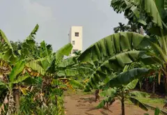 Cơ hội hiếm có sở hữu lô đất thổ cư đẹp tại thôn Đan Kim, Văn Giang... Bán đất tại Văn Giang, Hưng Yên 07