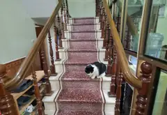 NHÀ 3 TẦNG 86m2 TRỤC KINH DOANH ĐƯỜNG LÒ VÔI HẢI BỐI ĐÔNG ANH -SỔ CHÍNH CHỦ... Bán nhà mặt phố tại Vĩnh Thanh, Hà Nội 06