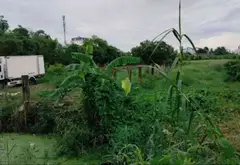 Cơ Hội Vàng Sở Hữu Nhà Mặt Phố Mặt Tiền Rộng Ấp 2 Bình Chánh... Bán nhà mặt phố tại Bình Chánh, Hồ Chí Minh 06