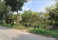 Bán đất lớn 7480m2 mặt tiền Dương Công Khi,Hóc Môn, giá 75 tỷ... Bán đất tại Bà Điểm, Hồ Chí Minh 04