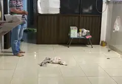 Bán nhà 2 tầng diện tích 58m2 tại phường Tân Thuận, TP.HCM... Bán nhà riêng tại Tân Thuận, Hồ Chí Minh 02