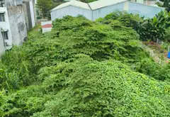 nhà riêng 5 tầng phường Thới An Quận 12, HXH 7m thông, full nội thất... Bán nhà riêng tại Thới An, Hồ Chí Minh 04