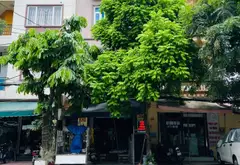 Bán nhà mặt phố đấu mã tp bắc ninh... Bán nhà mặt phố tại Vũ Ninh, Bắc Ninh 01
