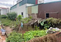 Bán đất thôn Công Luận 2, xã Văn Giang, Hưng Yên - diện tích 126,1 m2, ô tô vào đất... Bán đất tại Văn Giang, Hưng Yên 09
