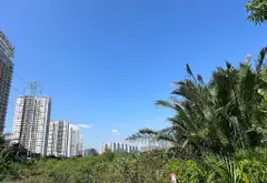 Bán đất nền diện tích lớn tại Nguyễn Hữu Thọ, Nhà Bè, gần Lotte Q7... Bán partner tại Nhà Bè, Hồ Chí Minh 11