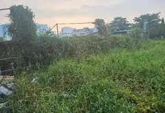 Bán đất Bình Lợi Bình Chánh 433m2, mặt tiền 10m, giá 5.4 tỷ... Bán đất tại Bình Lợi, Hồ Chí Minh 01