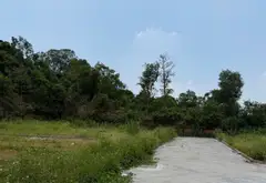 Đất Xinh Núi Chè – ô tô vào tận nơi, view cực chill... Bán đất tại Liên Bão, Bắc Ninh 06