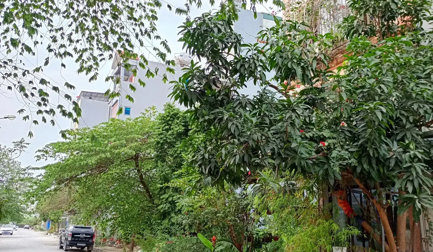 Bán biệt thự liền kề khu dịch vụ Yên Nghĩa, diện tích 50m2, 5 tầng, pháp lý cơ sở... Bán biệt thự, liền kề tại Yên Nghĩa, Hà Nội 01